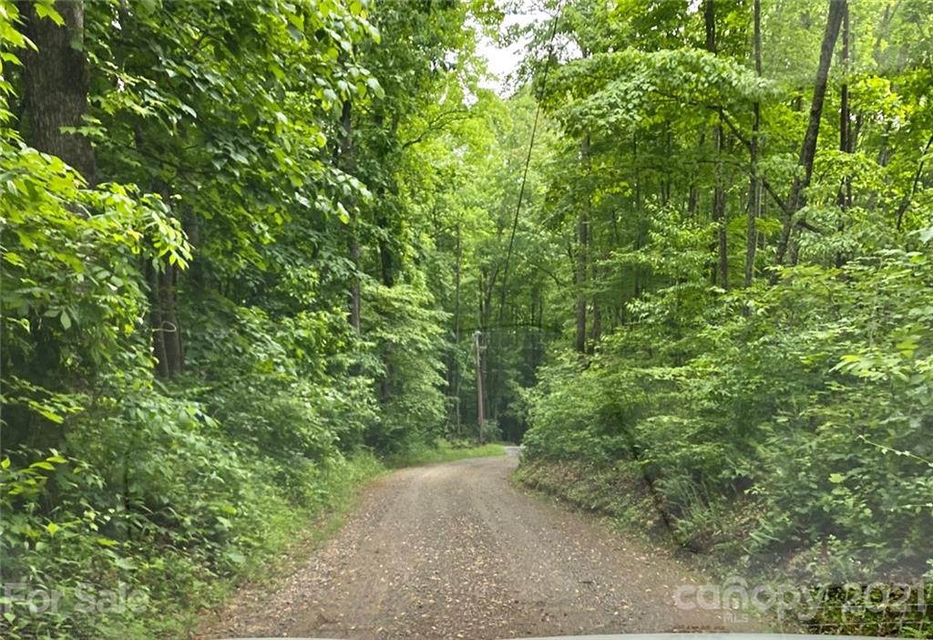 109 Apgar Road Candler, NC 28715 - Photo 1 of 5 Gallery Image 1