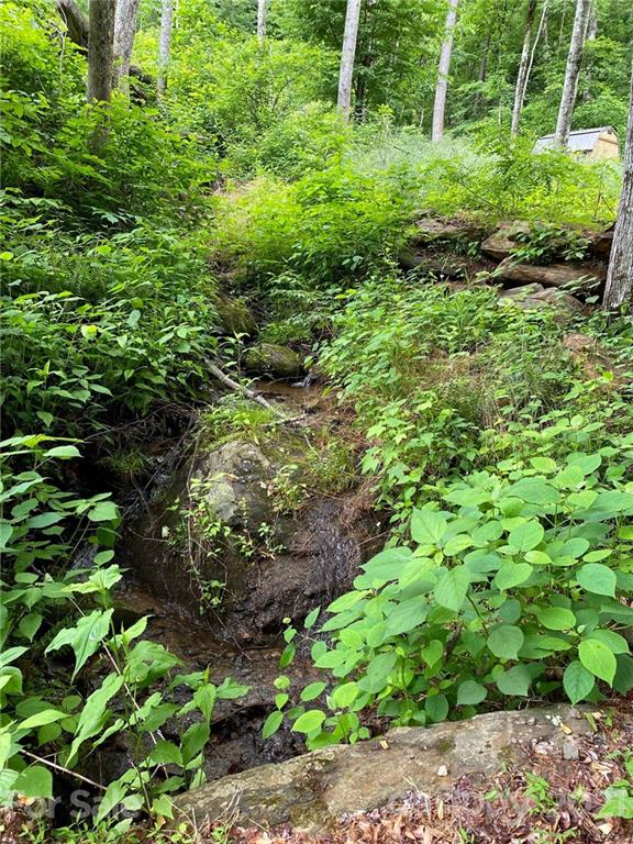 109 Apgar Road Candler, NC 28715 - Photo 4 of 5 Gallery Image 4