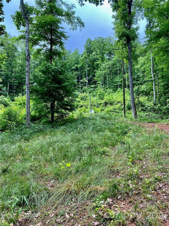 109 Apgar Road Candler, NC 28715 - Photo 5 of 5 Gallery Image 5