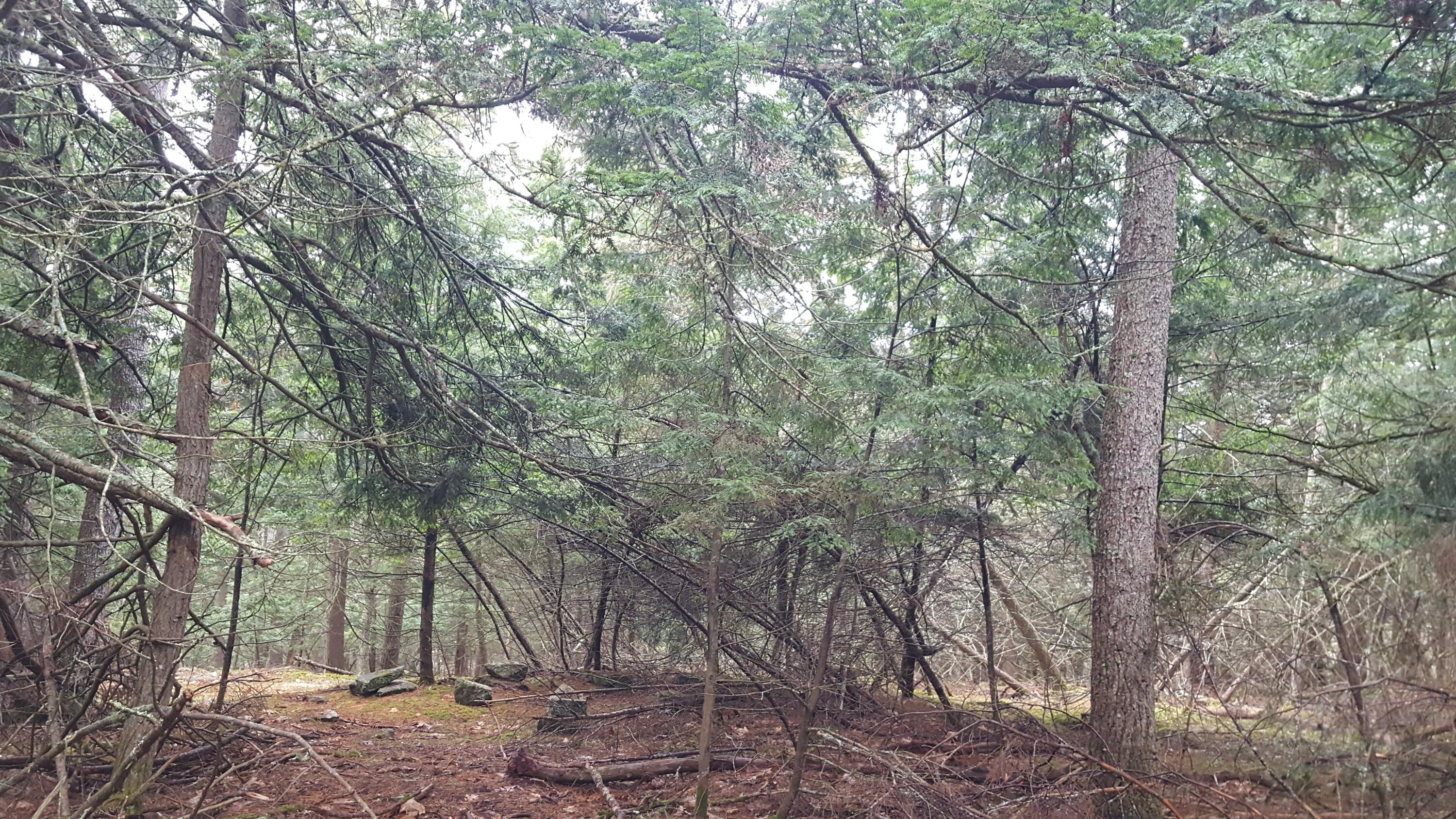 53 Johnson Road Windham, ME 04062 - Photo 19 of 22