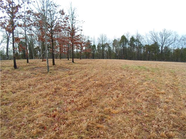 0 Murray Road Eagleville, TN 37060 - Photo 3 of 6 Gallery Image 3