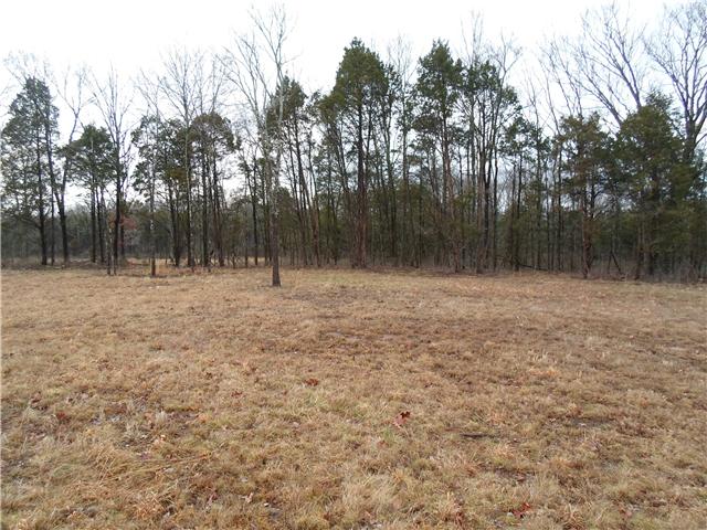 0 Murray Road Eagleville, TN 37060 - Photo 6 of 6 Gallery Image 6