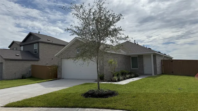 a backyard of a house with plants and large tree