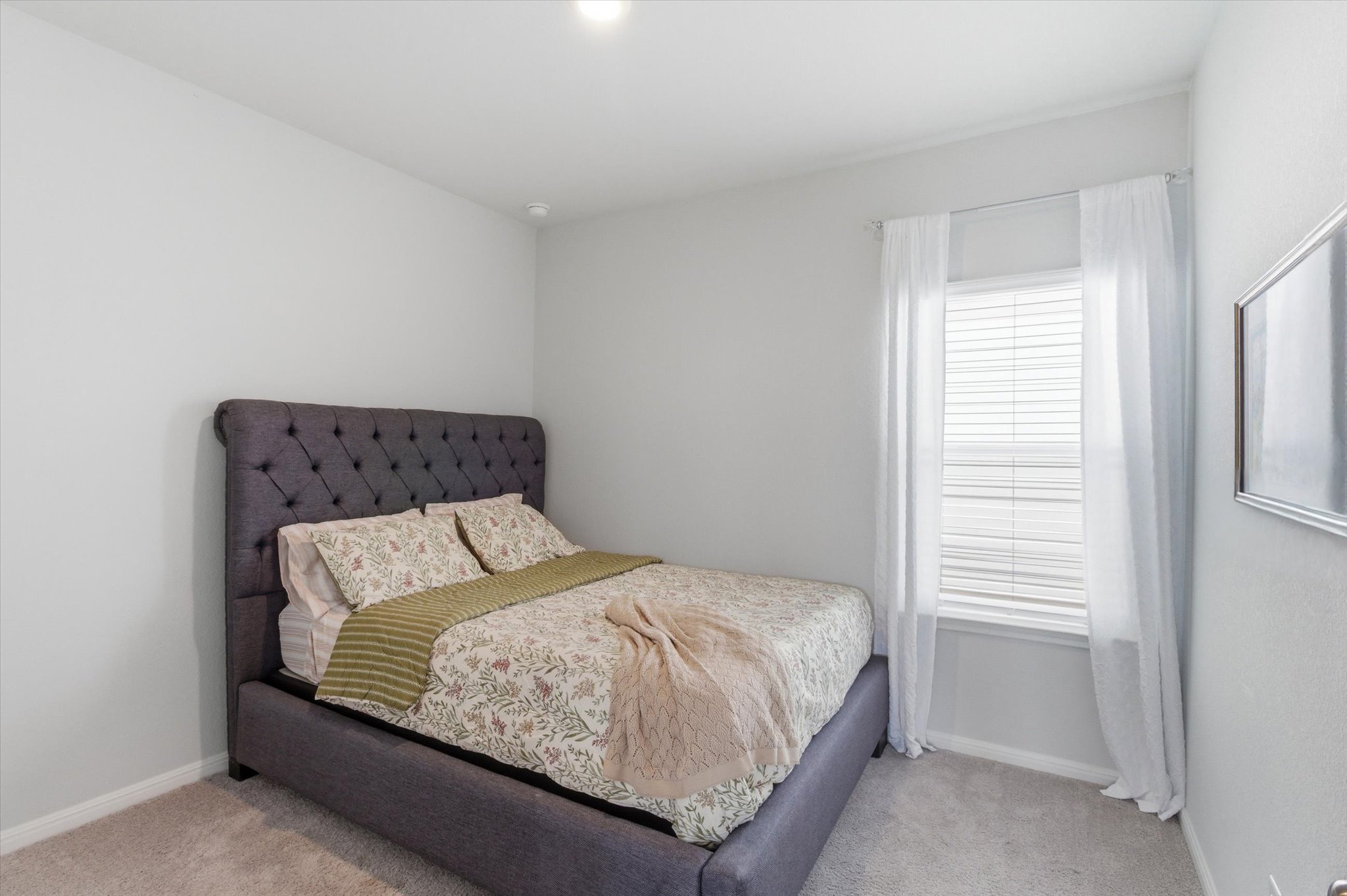 149 Cutleaf San Marcos, TX 78666 - Photo 14 of 25 Guest bedroom 1
