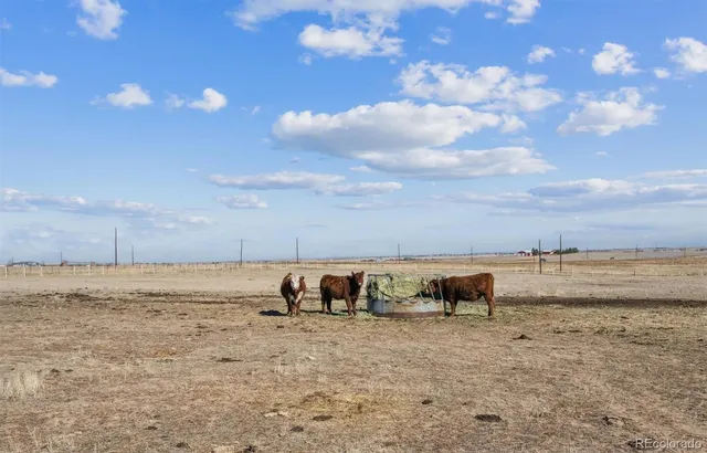 $930,000 | 43251 East Iliff Trail, Bennett, CO 80102