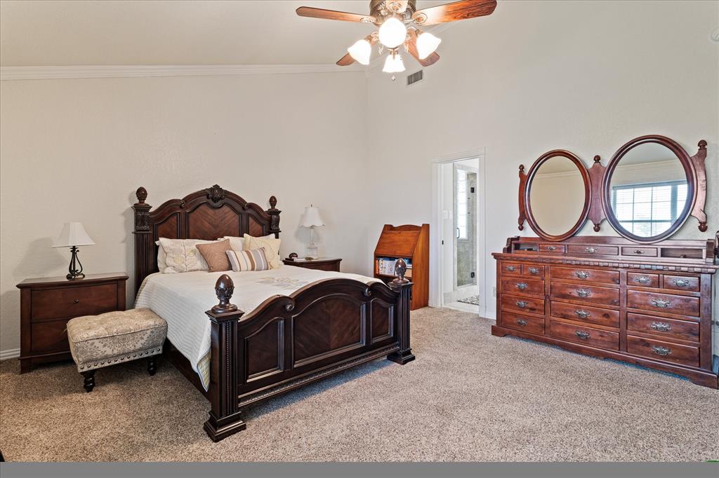 20175 Willow Glade Circle Pilot Point, TX 76258 - Photo 17 of 32 Bedroom with ceiling fan, light colored carpet, and crown molding