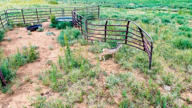 $210,000 | 17616 North Private Road 2220, Abernathy, TX 79311