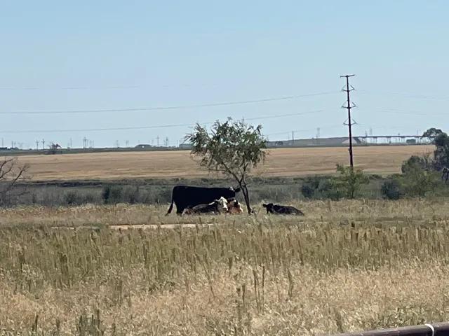 $210,000 | 17616 North Private Road 2220, Abernathy, TX 79311