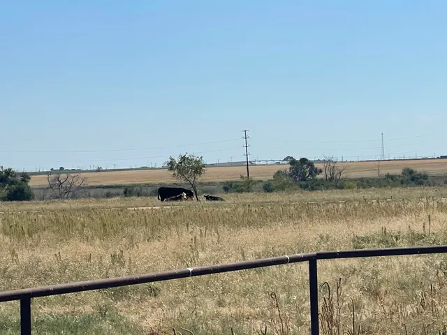 $210,000 | 17616 North Private Road 2220, Abernathy, TX 79311