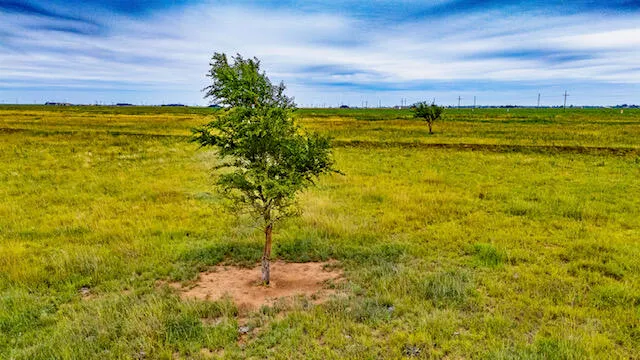 $210,000 | 17616 North Private Road 2220, Abernathy, TX 79311