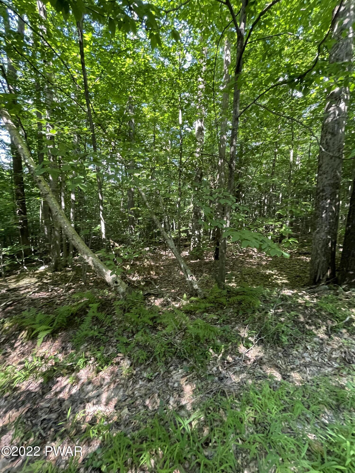 203 Beech Road Equinunk, PA 18417 - Photo 10 of 16