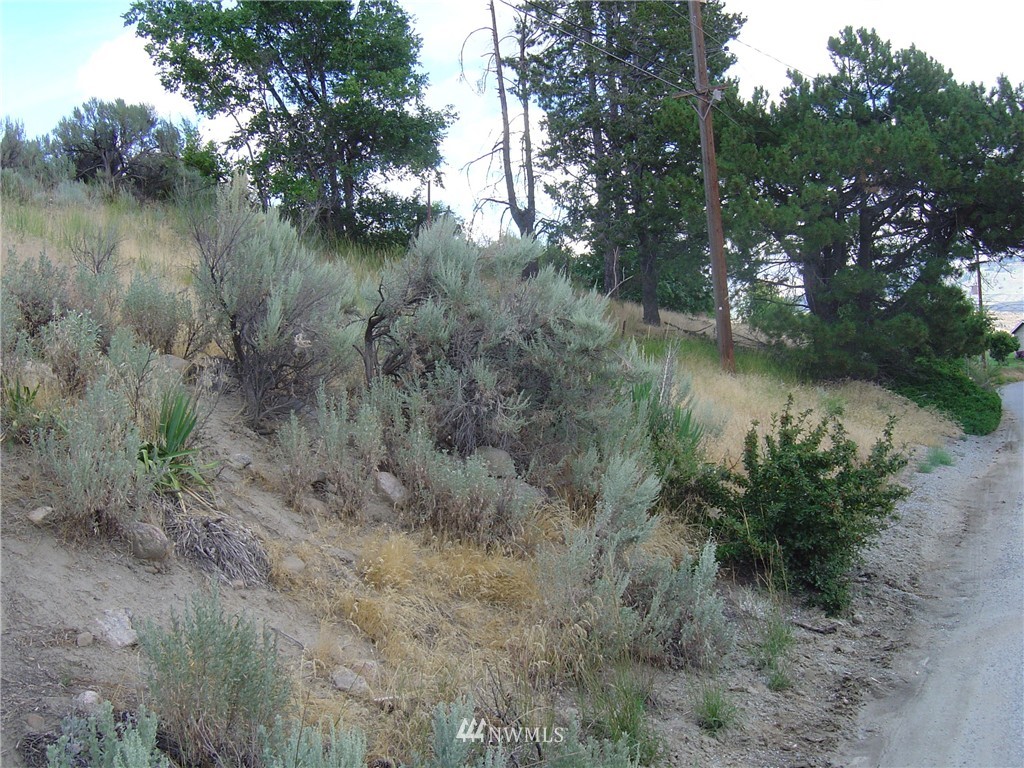14 Riverview Cemetery Road Chelan, WA 98816 - Photo 9 of 14 Gallery Image 9
