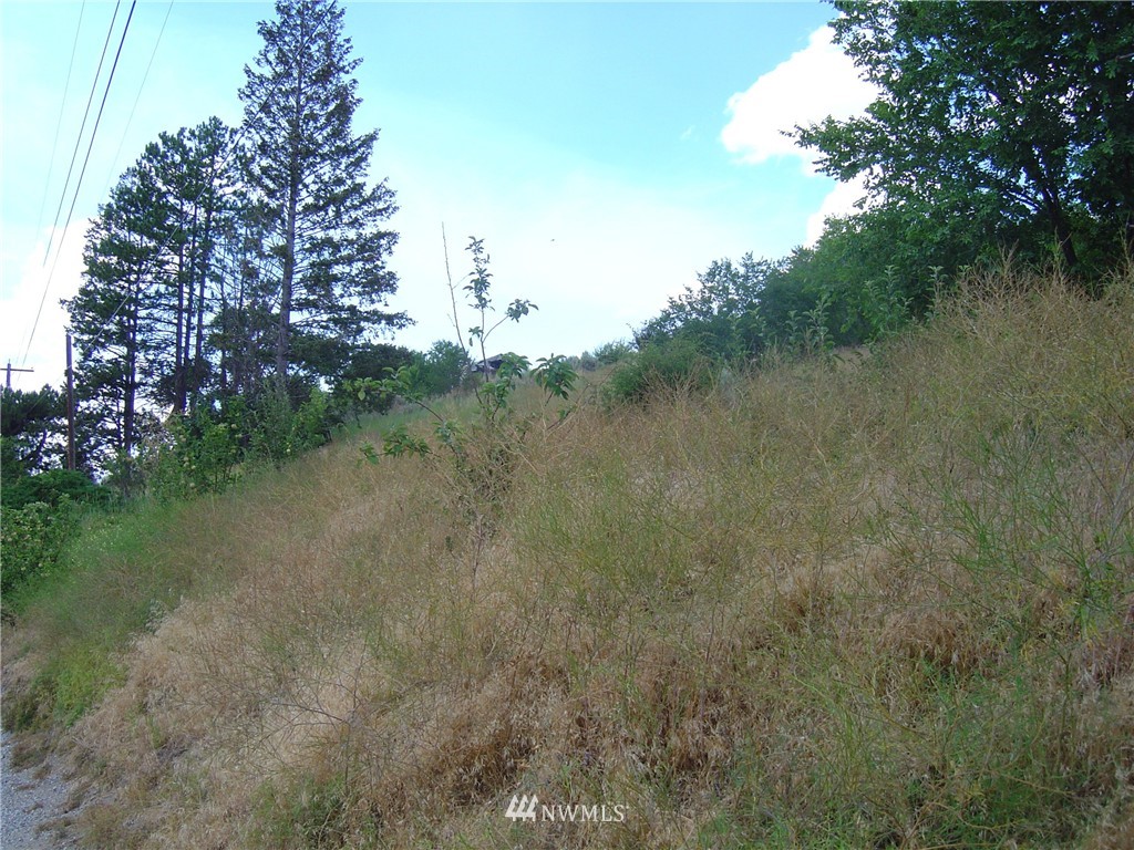 14 Riverview Cemetery Road Chelan, WA 98816 - Photo 10 of 14 Gallery Image 10