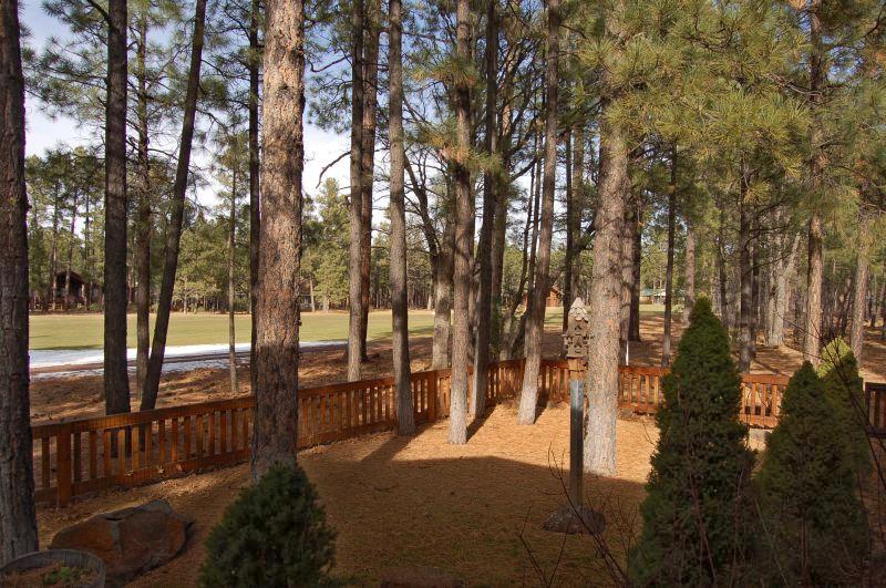 6892 White Oak Road Pinetop, AZ 85935 - Photo 19 of 26 Gallery Image 19