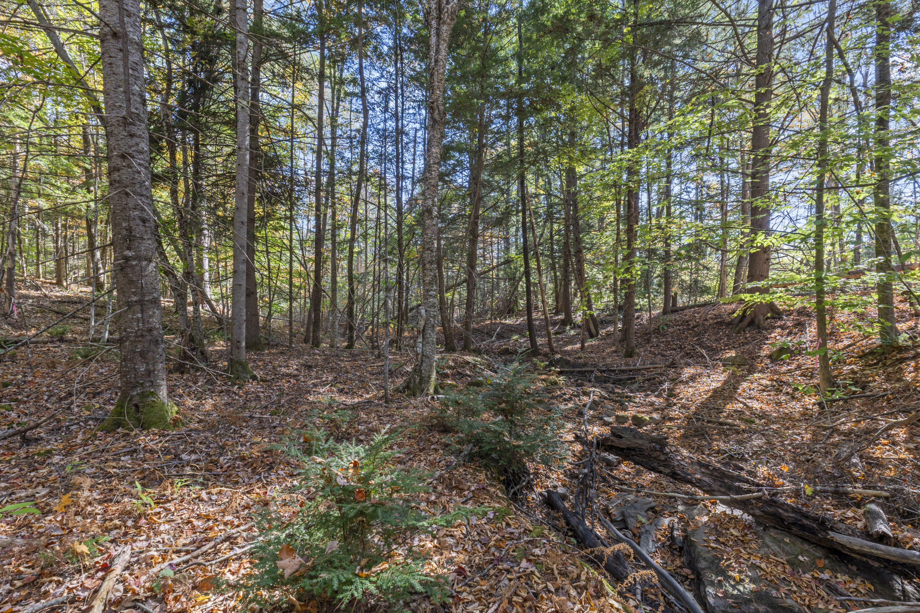 215 Ward Road Topsham, ME 04086 - Photo 10 of 32 Land photos