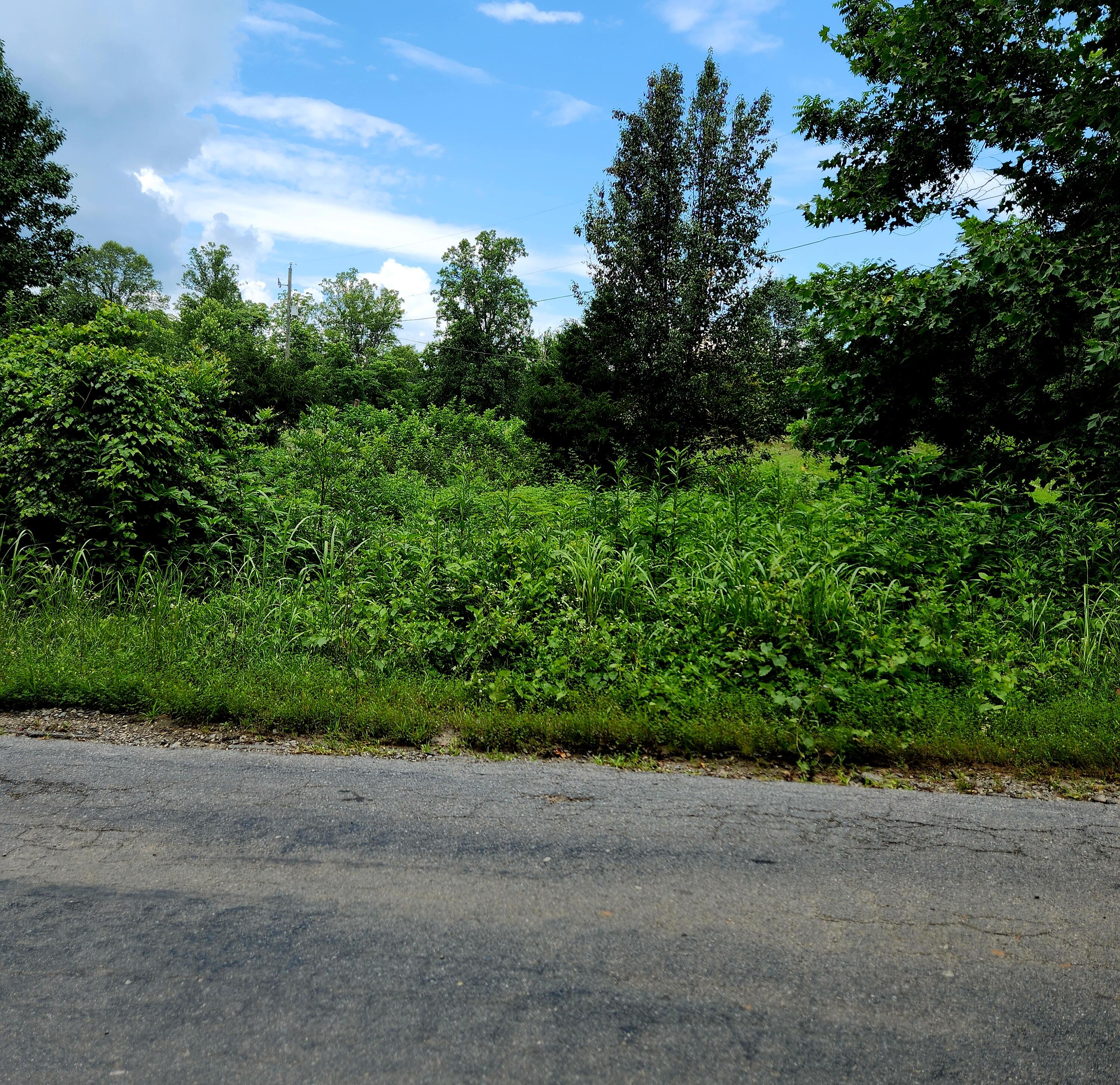 0 Stave Mill Road Rocky Mount, VA 24151 - Photo 3 of 5 a view of a garden