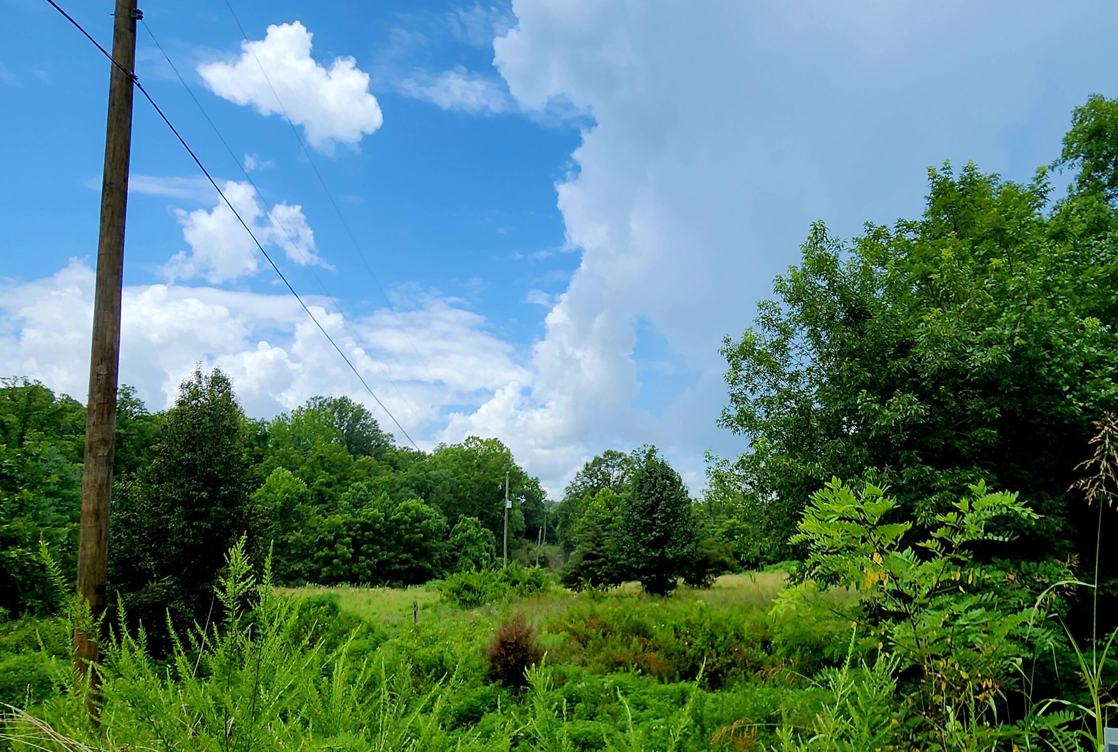0 Stave Mill Road Rocky Mount, VA 24151 - Photo 4 of 5 a view of a flower in a garden