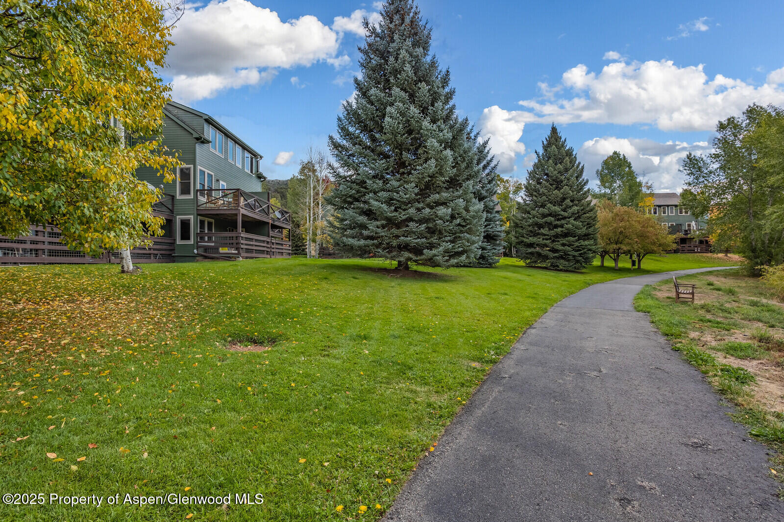 113 Lakeside Court Basalt, CO 81621 - Photo 36 of 39 a view of a park with large trees