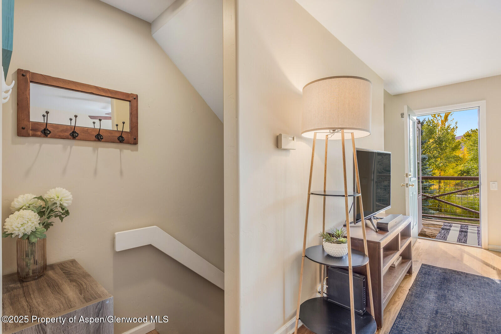 113 Lakeside Court Basalt, CO 81621 - Photo 6 of 39 a view of living room with furniture and a flat screen tv