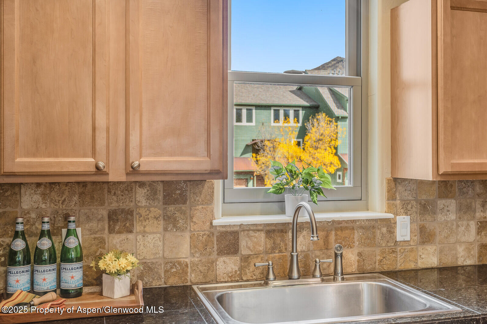 113 Lakeside Court Basalt, CO 81621 - Photo 9 of 39 a kitchen with a sink and cabinet