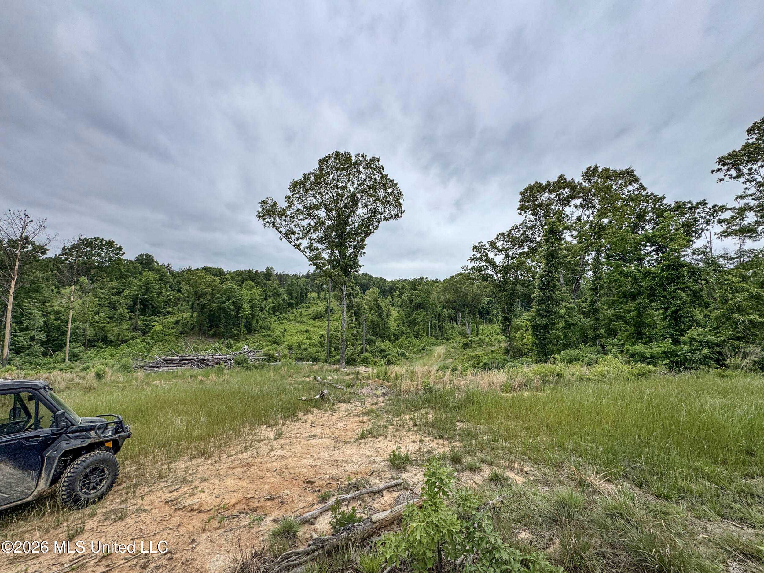 Wayne Massie Road Como, MS 38619 - Photo 135 of 184 5cdtbs76