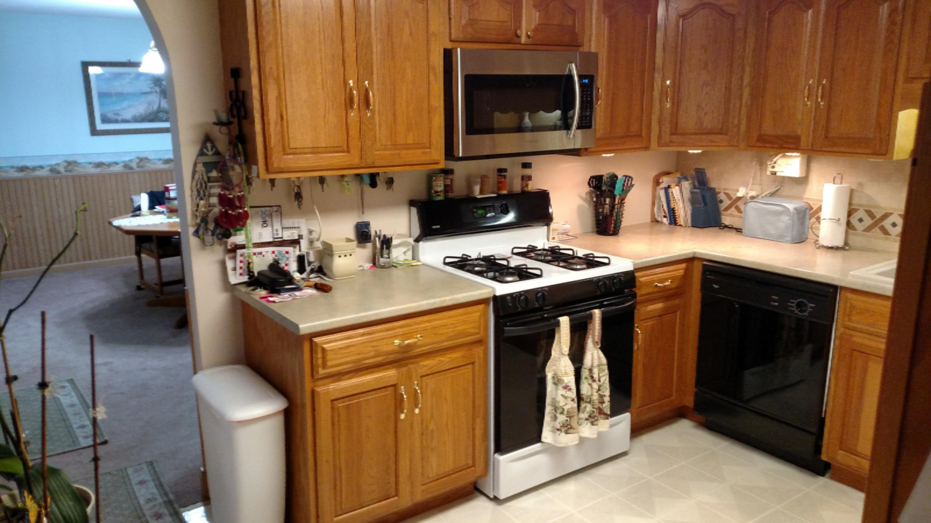 615 Prairie Creek Road Ionia, MI 48846 - Photo 9 of 33 IMG_20151221_164513768 - Copy