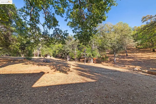 a view of a yard with tree s