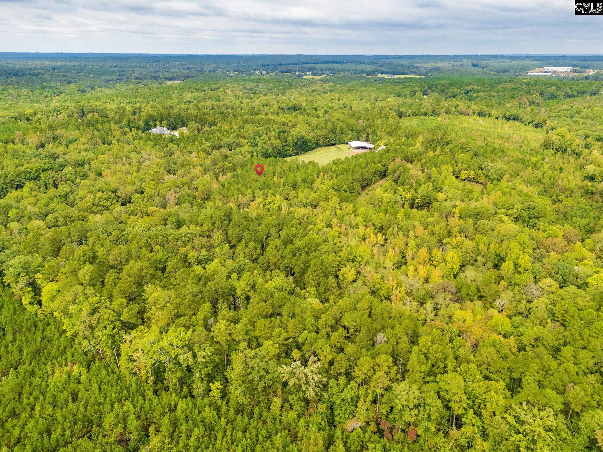 Lot 22 Creekside Way Ridgeway, SC 29130 - Photo 4 of 7