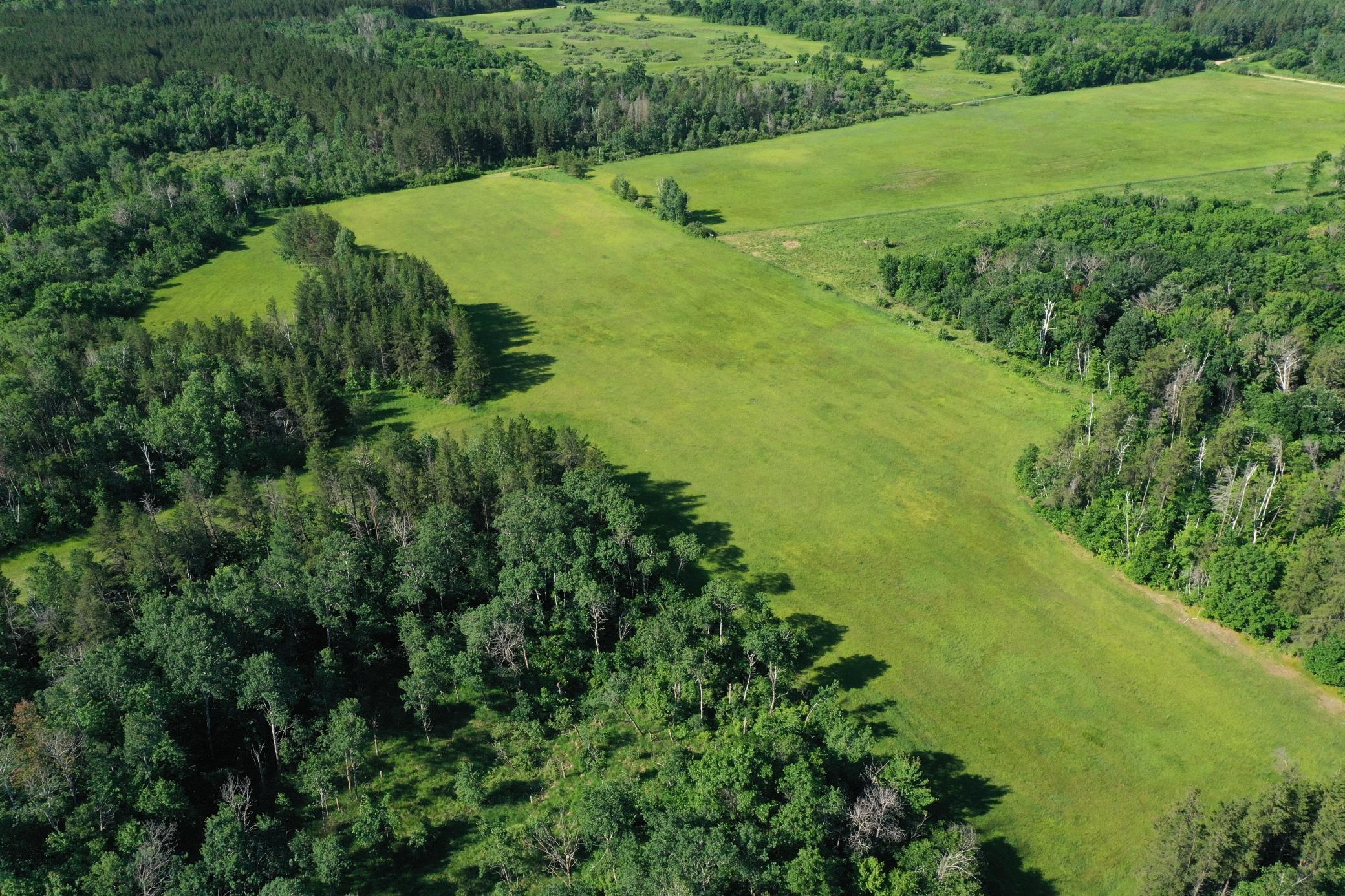 Tbd 205th Avenue Sebeka, MN 56477 - Photo 8 of 21