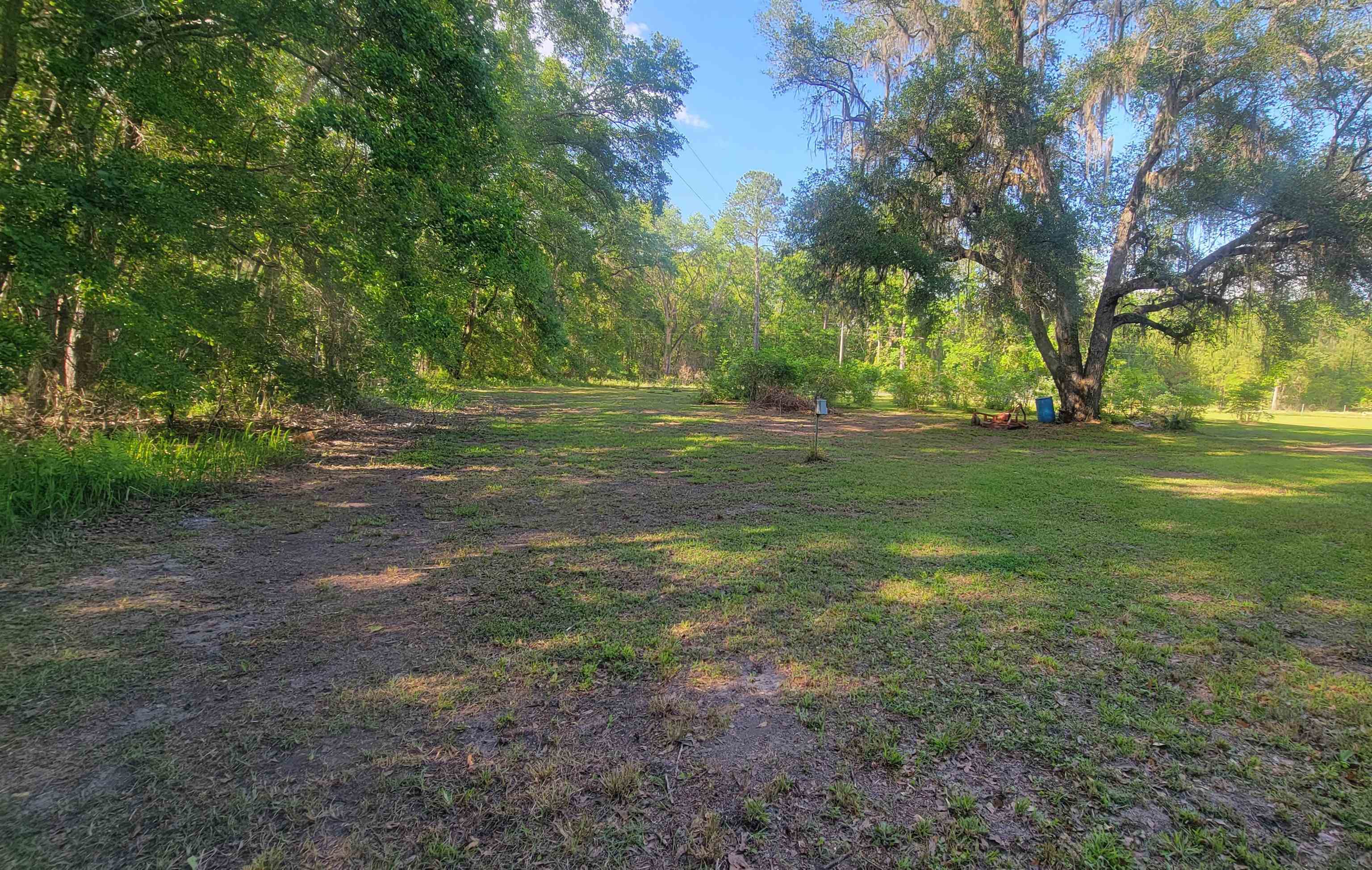 830 7 Bridges Road Monticello, FL 32344 - Photo 9 of 14