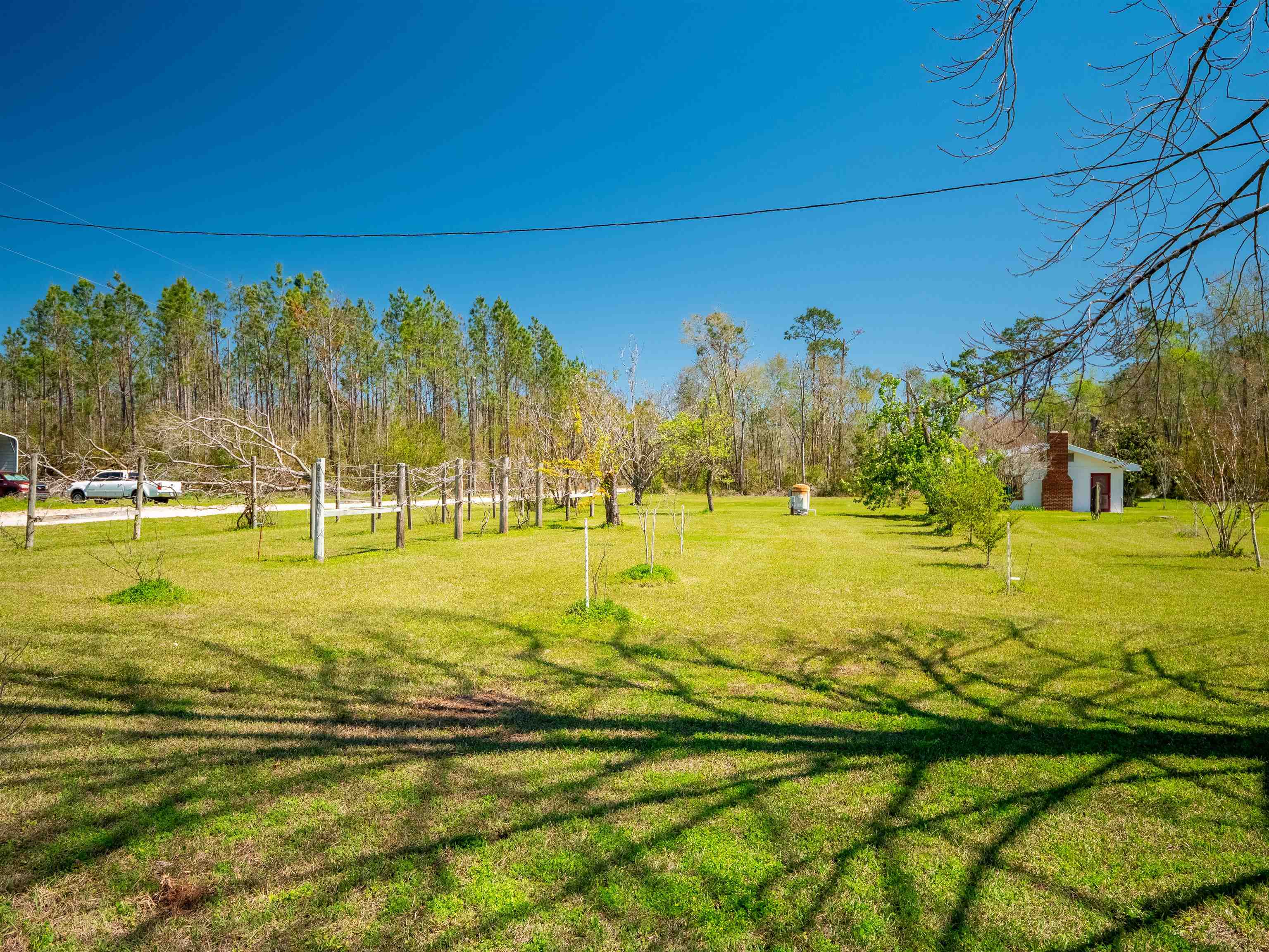 6753 Highway 90 Lee, FL 32059 - Photo 11 of 42