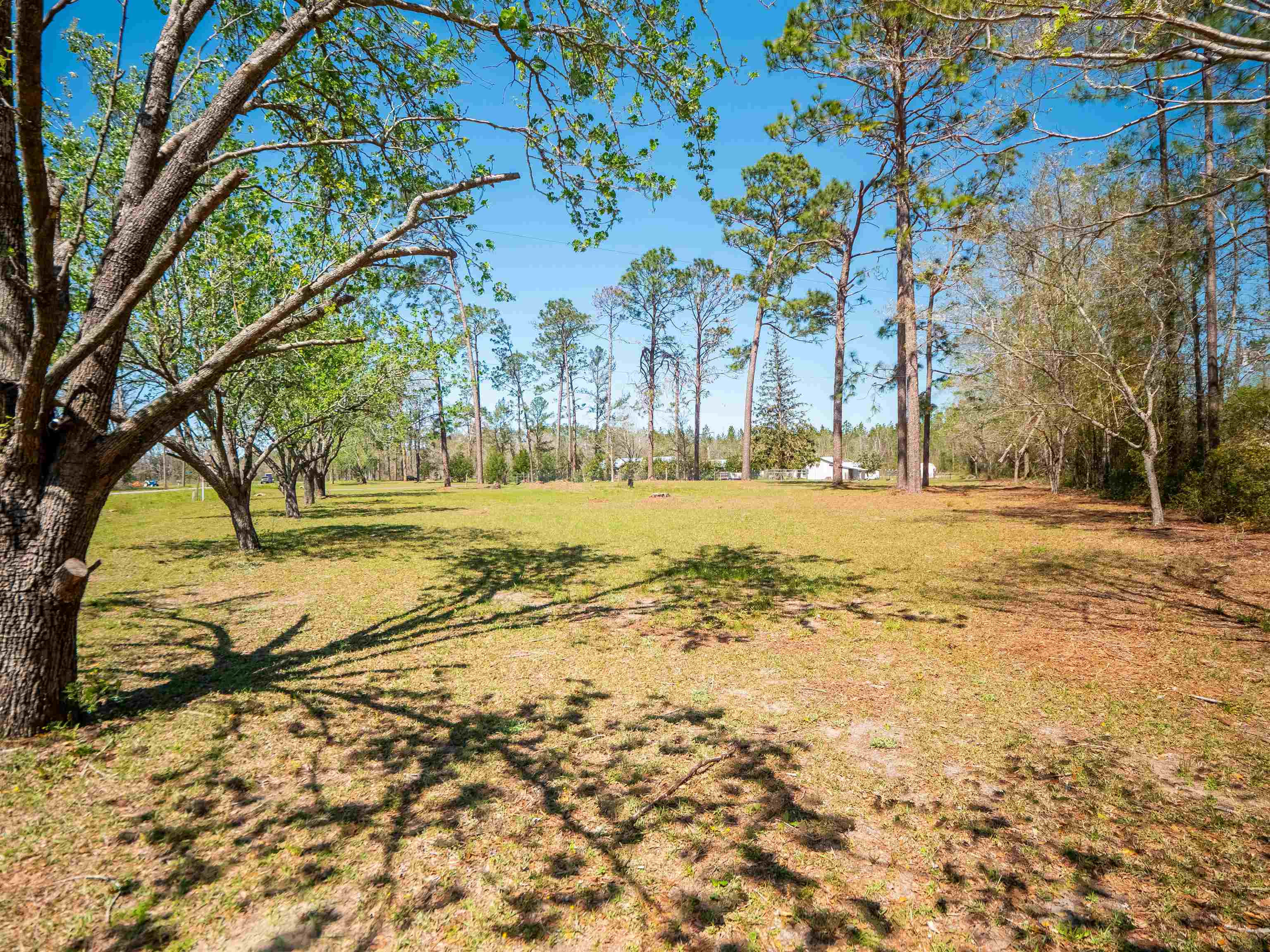 6753 Highway 90 Lee, FL 32059 - Photo 4 of 42