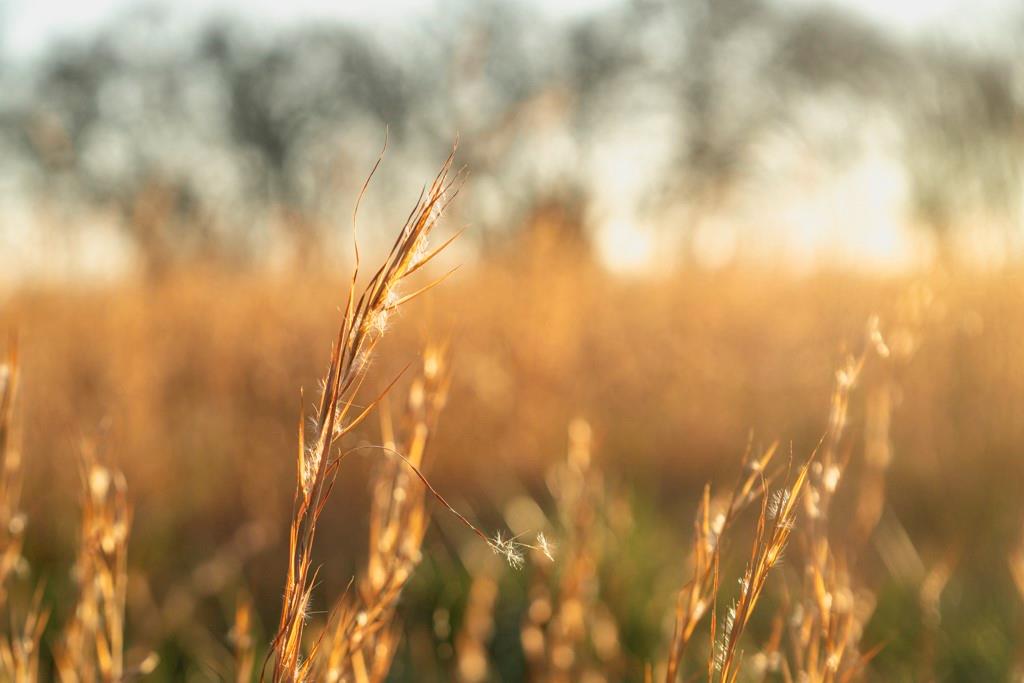 0 Lone Star Road Paola, KS 66071 - Photo 12 of 60