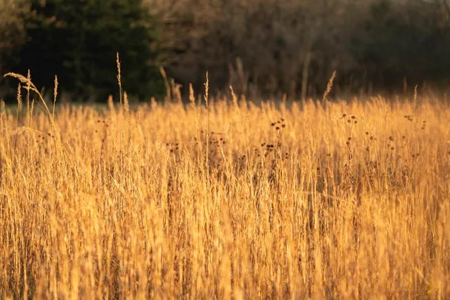 $235,000 | 0 Lone Star Road, Paola, KS 66071