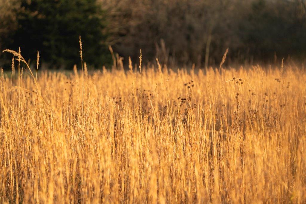 0 Lone Star Road Paola, KS 66071 - Photo 13 of 60