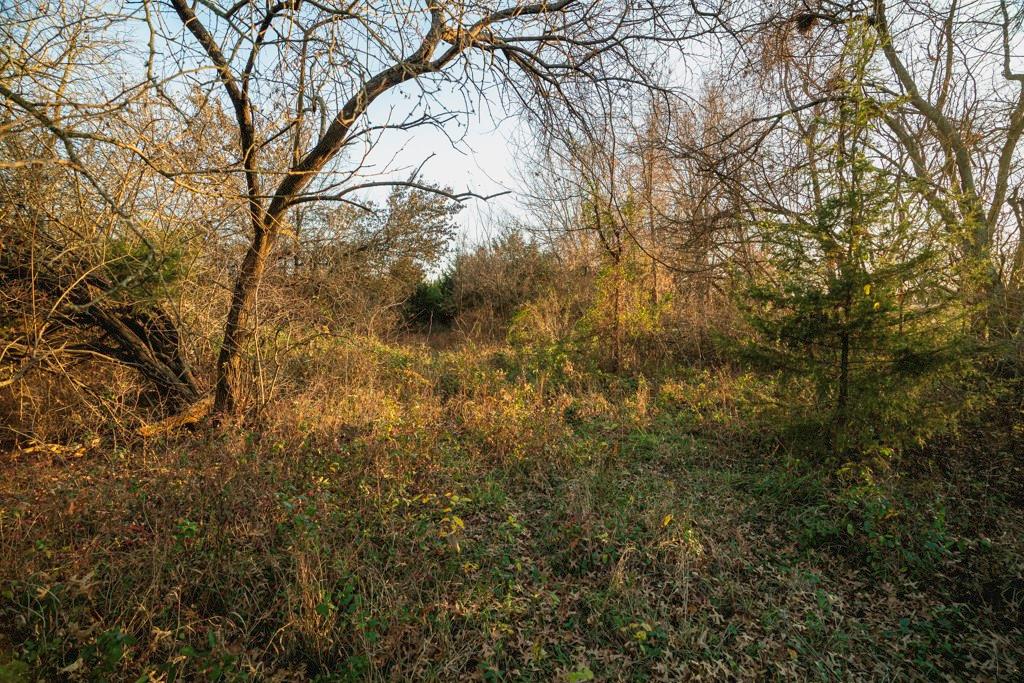 0 Lone Star Road Paola, KS 66071 - Photo 20 of 60