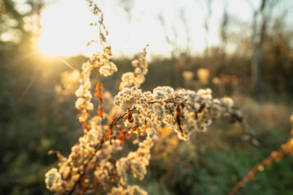 0 Lone Star Road Paola, KS 66071 - Photo 28 of 60