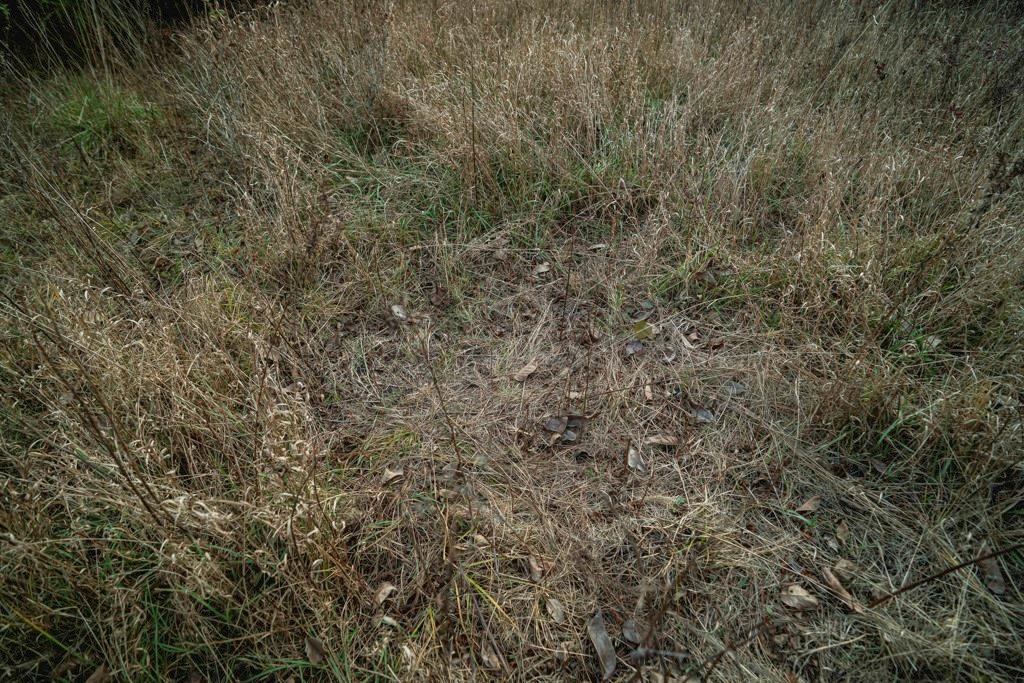 0 Lone Star Road Paola, KS 66071 - Photo 34 of 60