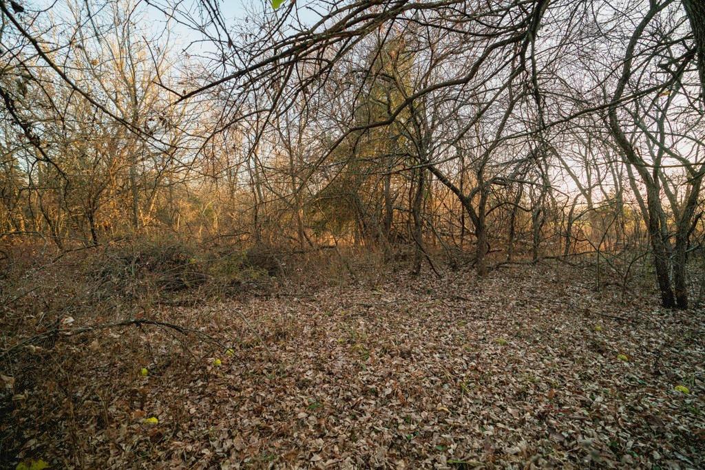 0 Lone Star Road Paola, KS 66071 - Photo 39 of 60