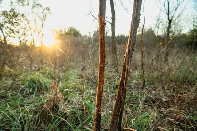 $235,000 | 0 Lone Star Road, Paola, KS 66071