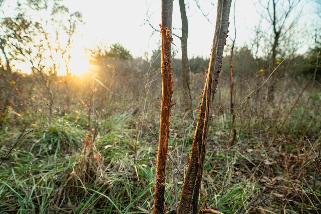 0 Lone Star Road Paola, KS 66071 - Photo 40 of 60