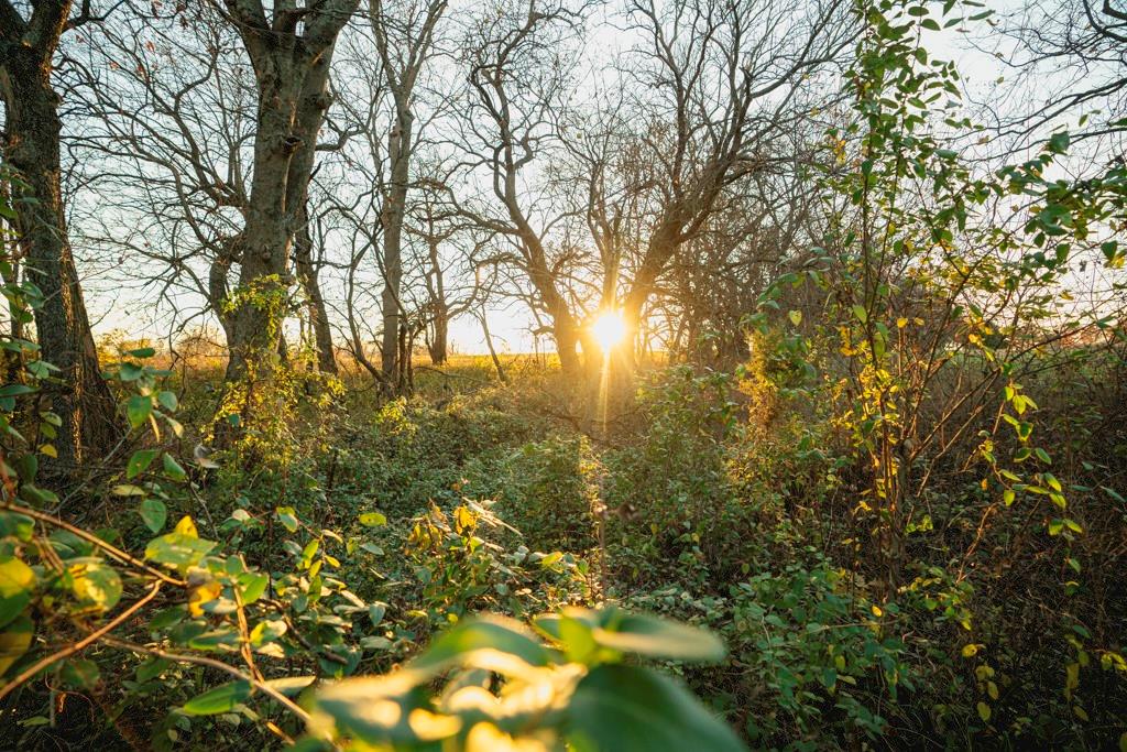 0 Lone Star Road Paola, KS 66071 - Photo 44 of 60