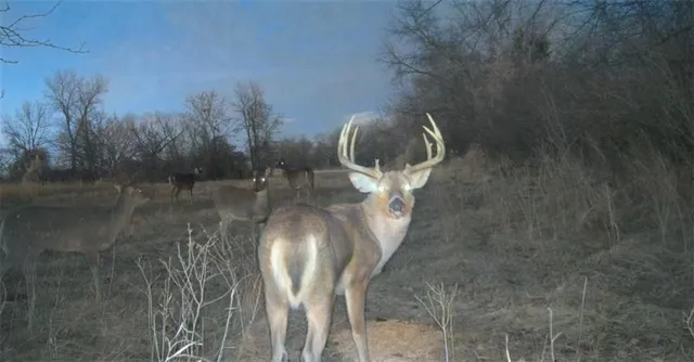 $235,000 | 0 Lone Star Road, Paola, KS 66071