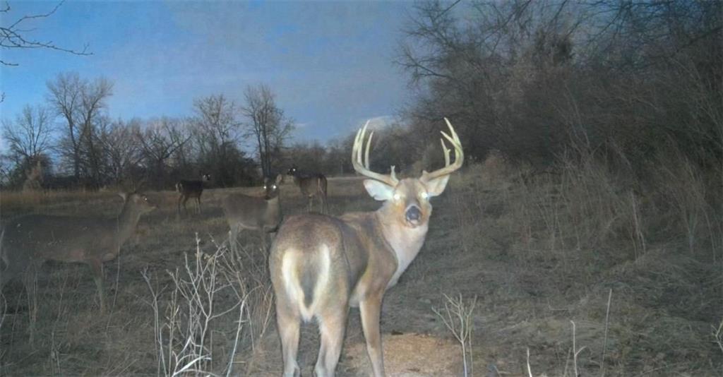 0 Lone Star Road Paola, KS 66071 - Photo 54 of 60
