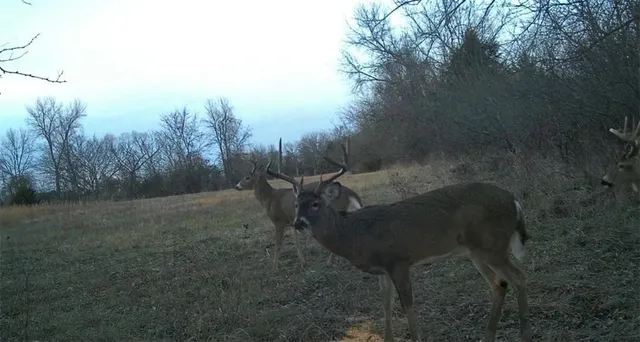 $235,000 | 0 Lone Star Road, Paola, KS 66071