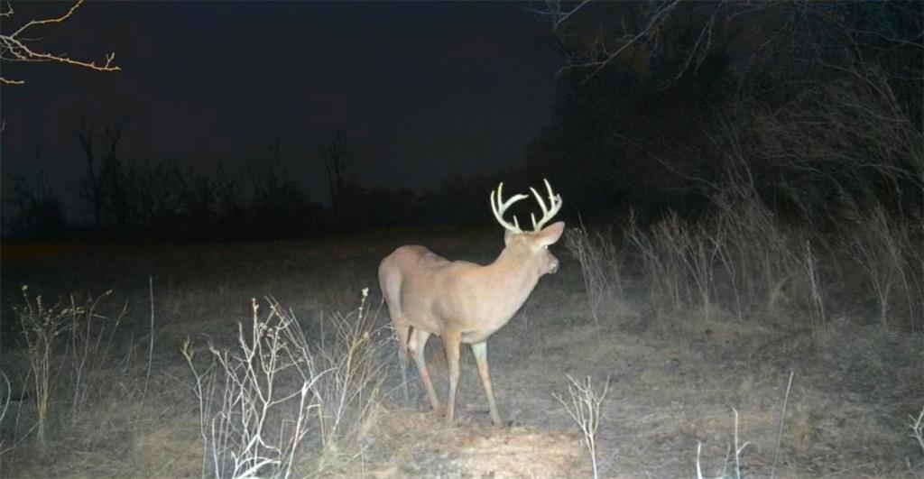 0 Lone Star Road Paola, KS 66071 - Photo 56 of 60