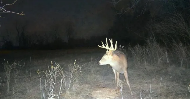 $235,000 | 0 Lone Star Road, Paola, KS 66071