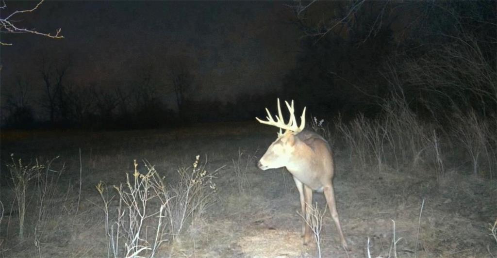 0 Lone Star Road Paola, KS 66071 - Photo 57 of 60