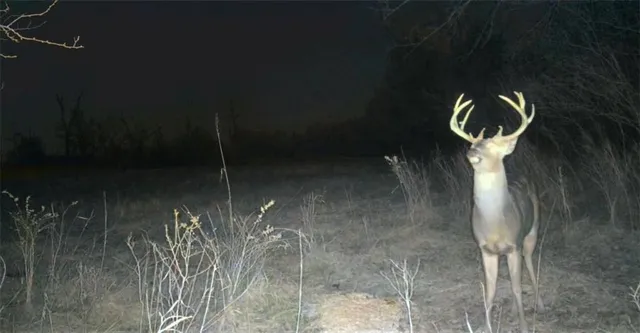 $235,000 | 0 Lone Star Road, Paola, KS 66071