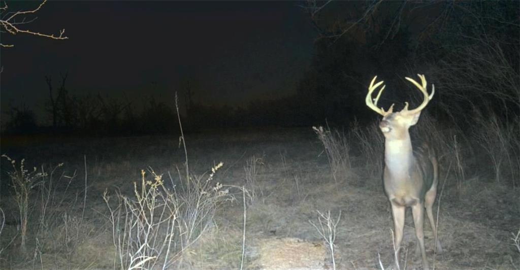 0 Lone Star Road Paola, KS 66071 - Photo 59 of 60